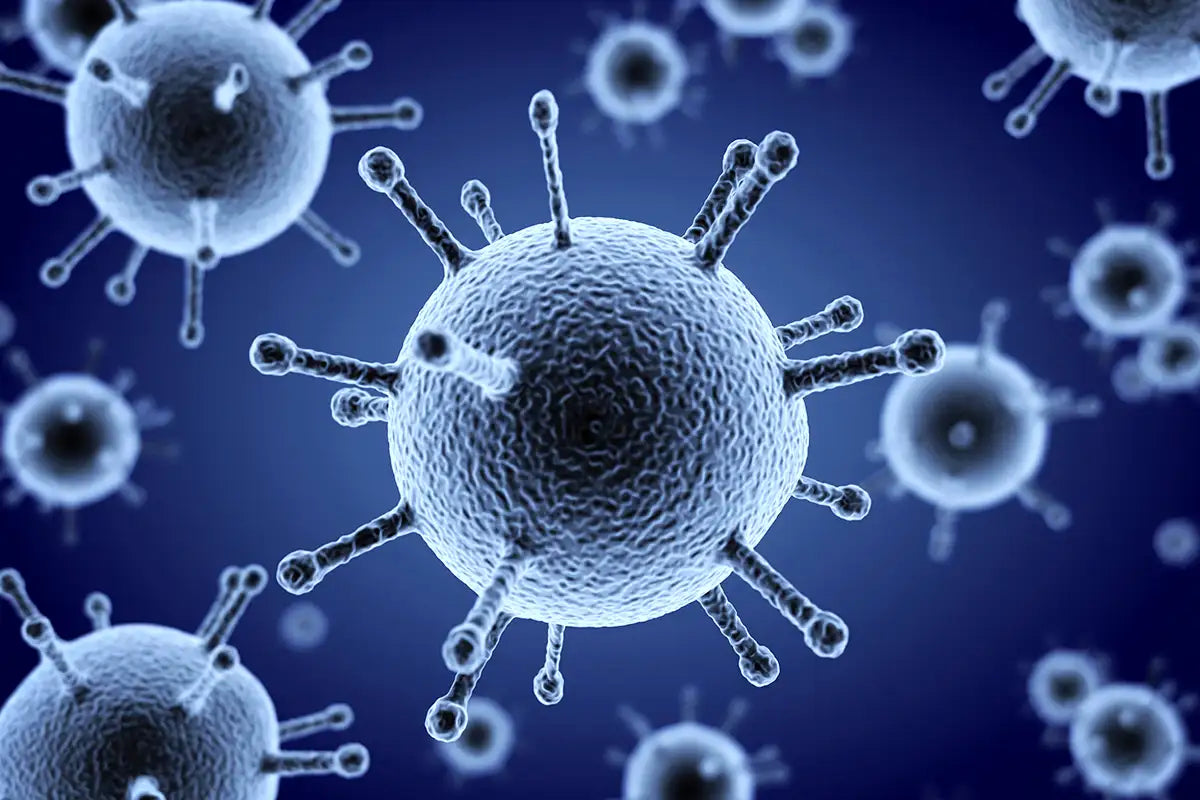 Flu Immunisation Programs - Skin Patrol